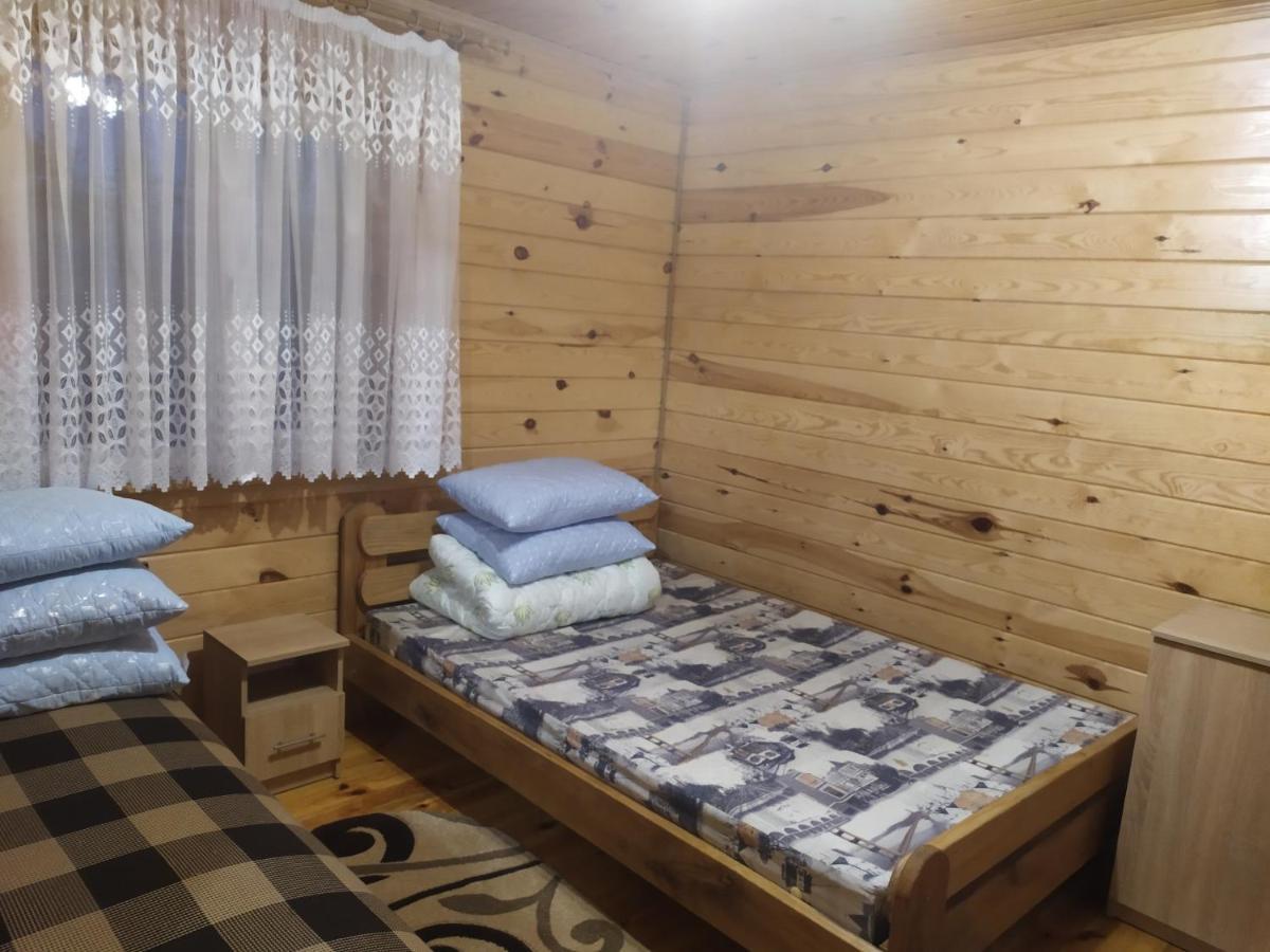 Лукі Villa Svityaz' Bagian luar foto