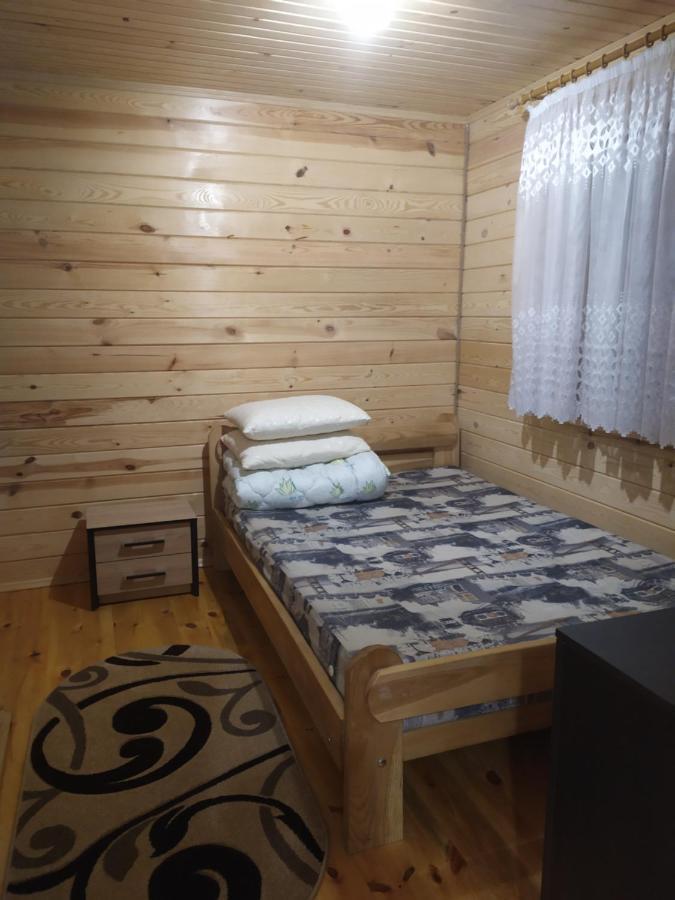 Лукі Villa Svityaz' Bagian luar foto