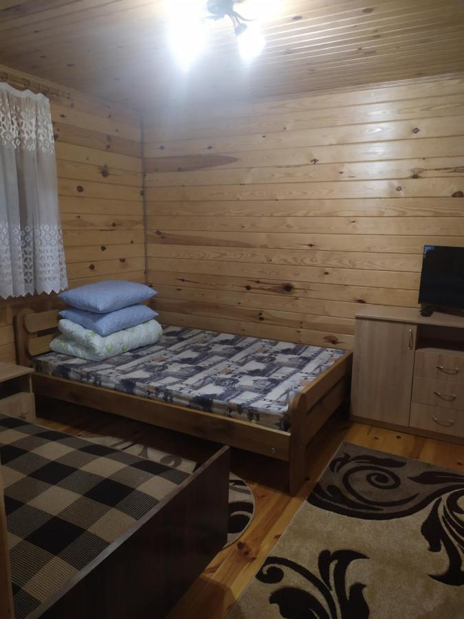 Лукі Villa Svityaz' Bagian luar foto
