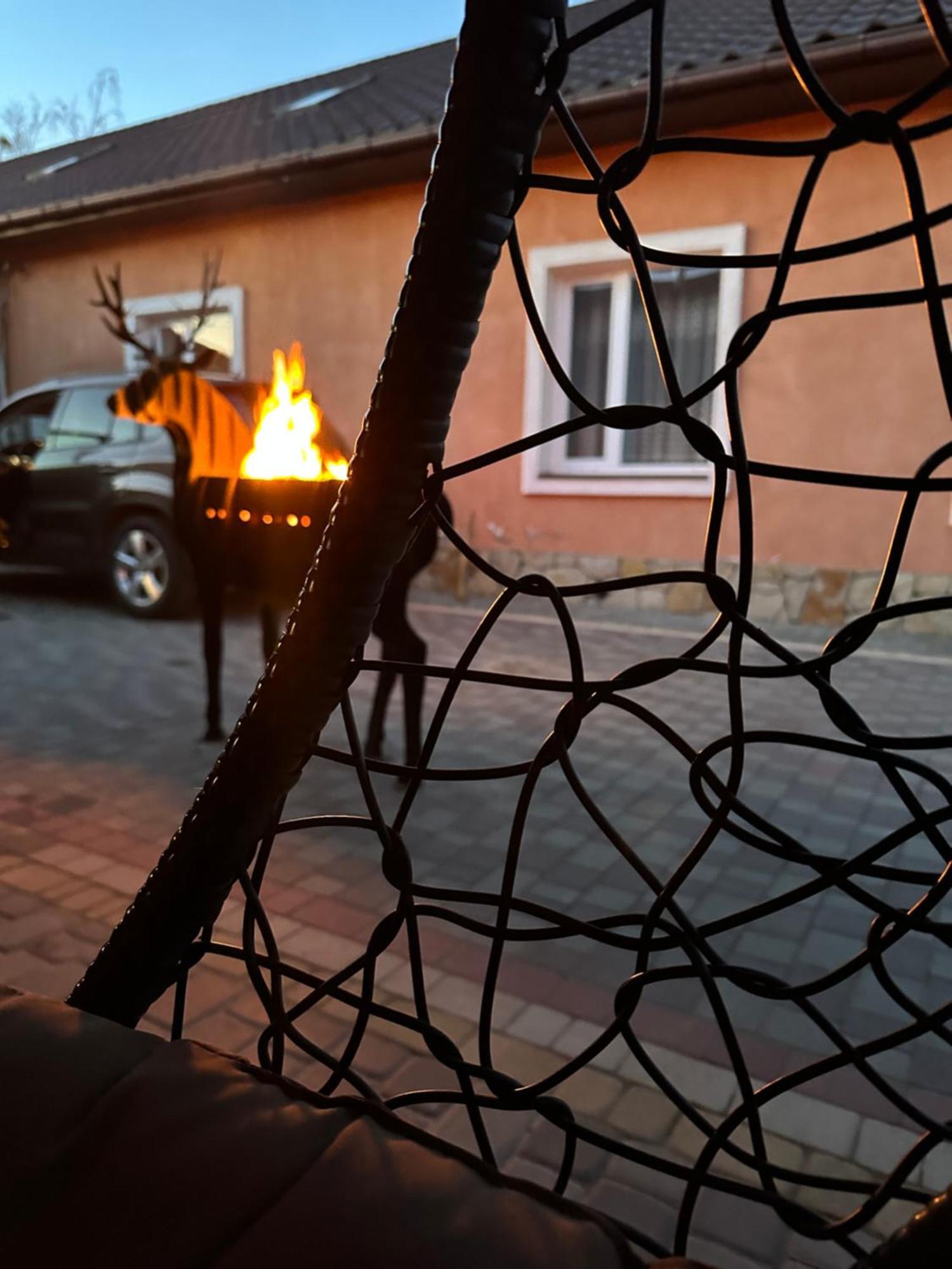Лукі Villa Svityaz' Bagian luar foto